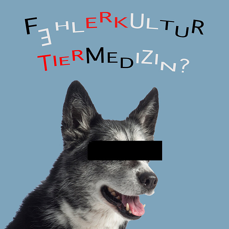 Grafik mit einem Hund und der Aufschrift "Fehlerkultur Tiermedizin"